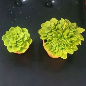 Green Succulent Artificial Plants